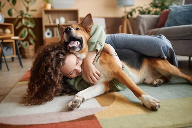 Best ChatGPT Prompts for a Pet